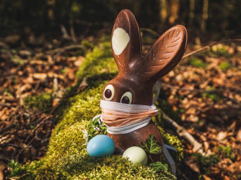 ล่ามญี่ปุ่นทำยังไงให้อยู่รอดในช่วงวิกฤตโควิด ล่ามญี่ปุ่นทำยังไงให้อยู่รอดในช่วงวิกฤตโควิด